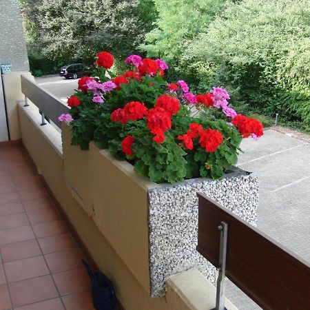 Appartementhaus Im Gruen Bad Bellingen Εξωτερικό φωτογραφία