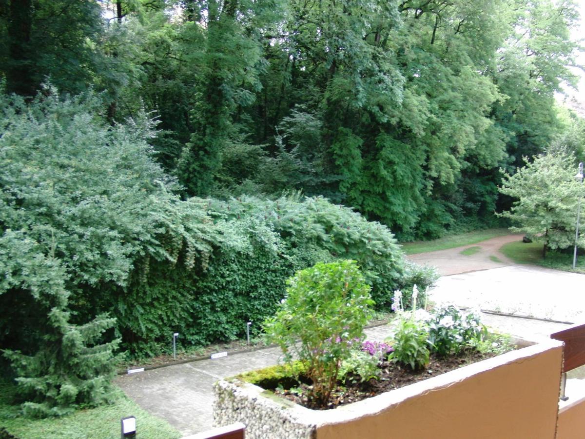 Appartementhaus Im Gruen Bad Bellingen Εξωτερικό φωτογραφία
