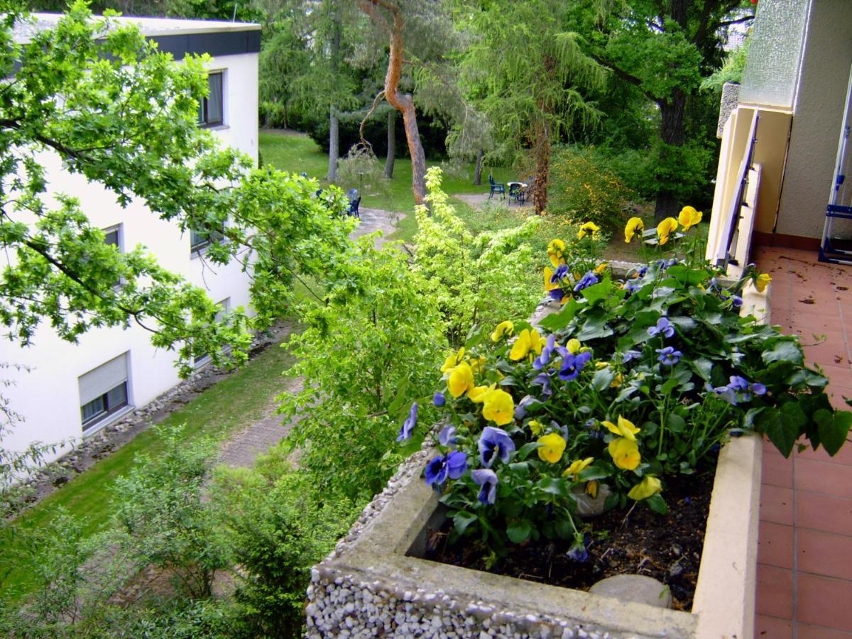 Appartementhaus Im Gruen Bad Bellingen Εξωτερικό φωτογραφία