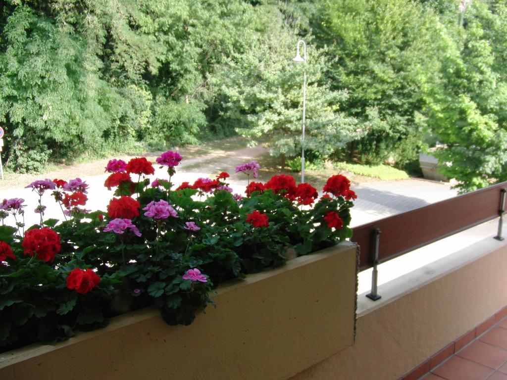 Appartementhaus Im Gruen Bad Bellingen Δωμάτιο φωτογραφία